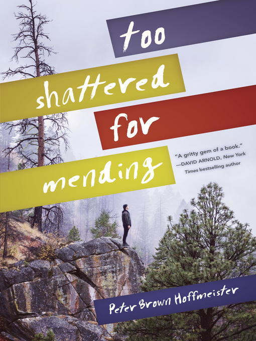 Title details for Too Shattered for Mending by Peter Brown Hoffmeister - Available